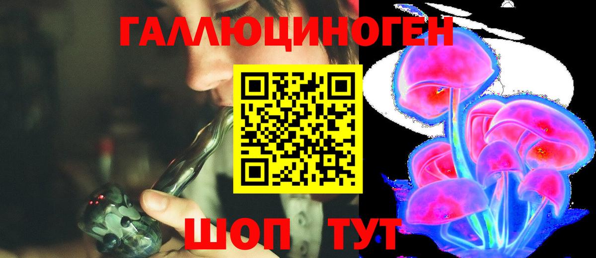Псилоцибиновые грибы Cubensis Костомукша