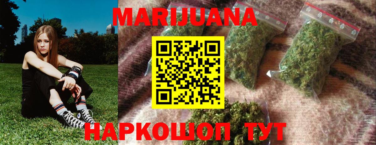 Бошки Шишки планчик Костомукша